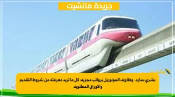 بشرى سارة.. وظائف المونوريل برواتب مجزية كل ما تريد معرفته عن شروط التقديم والأوراق المطلوبة. 1